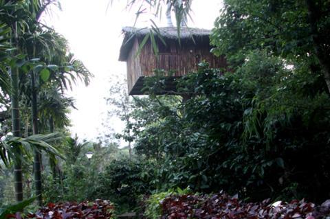 Coffee Acres Plantation Resort กัลปัตตา ห้อง รูปภาพ